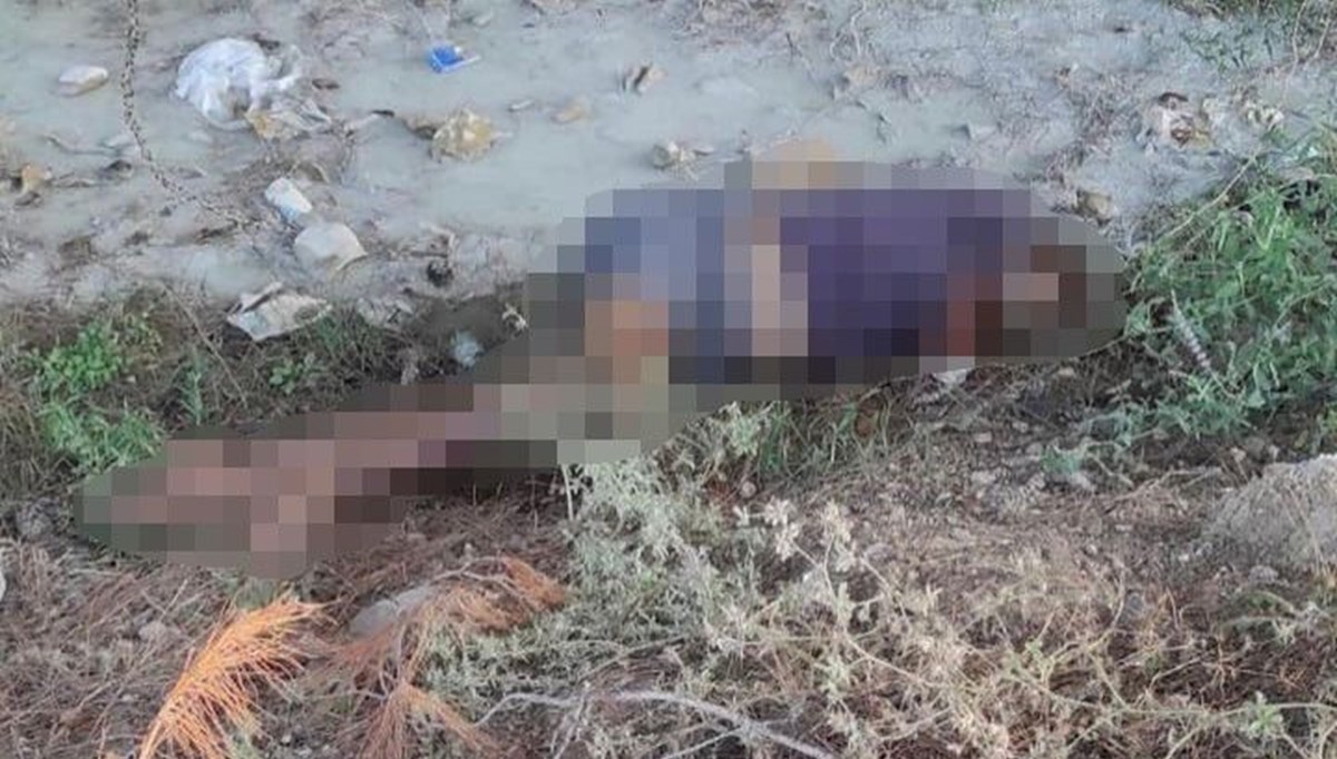 Adana'da dere kenarında kadın cesedi bulundu Adana'da dere kenarında kadın cesedi bulundu