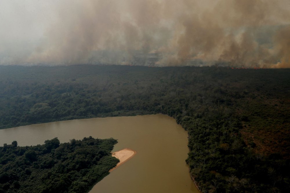 Amazon yağmur ormanları büyük bir çayıra dönüşmenin eşiğinde - 4