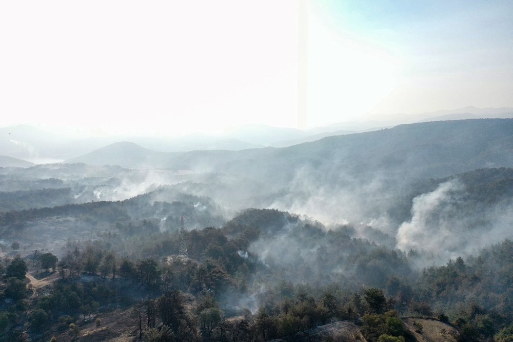 Çanakkale'deki orman yangınında yanan alanlar havadan görüntülendi - 9