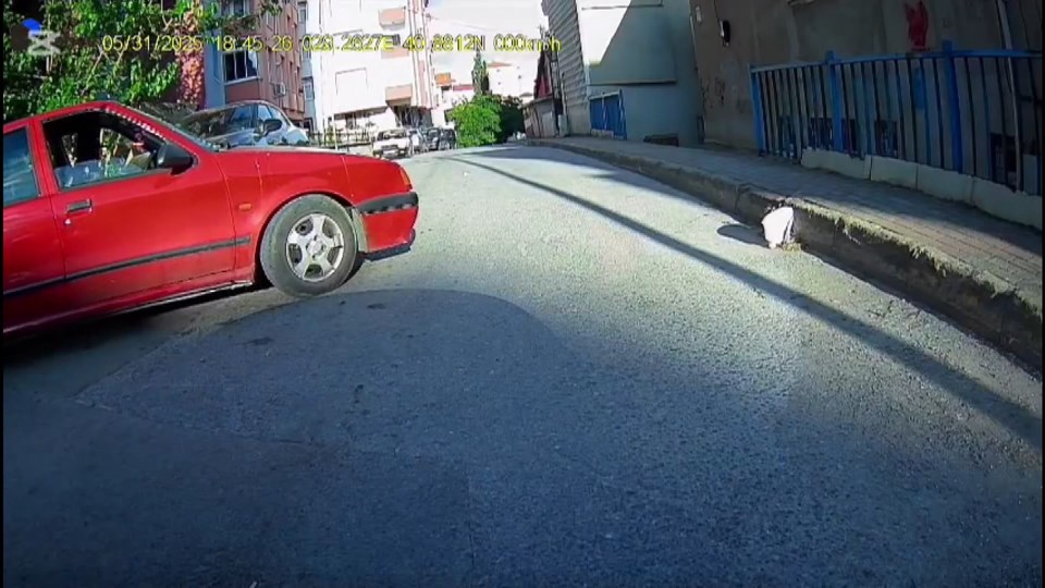 Trafikte yine aynı sahne: Ailesinin yanında bıçak çekti - 1
