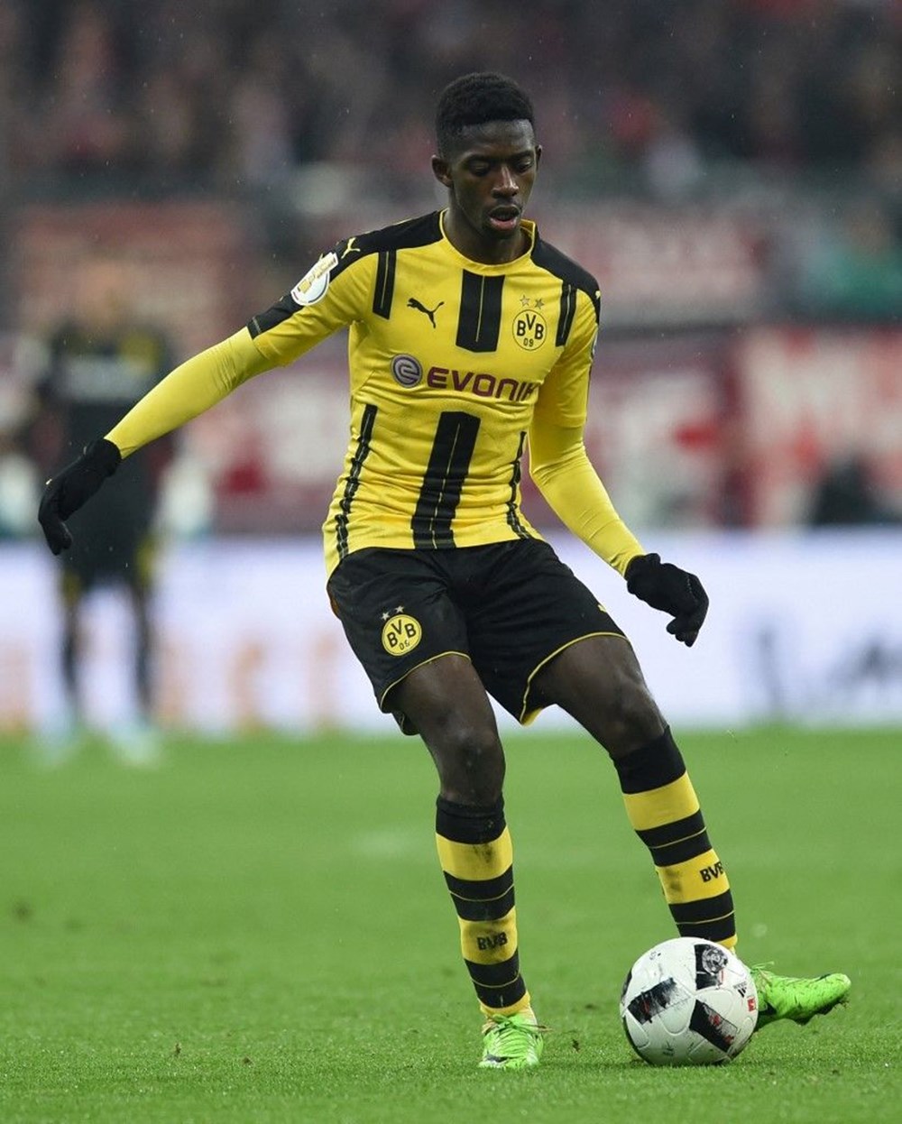 MXI6bpyuy06N02HCAA1ocA