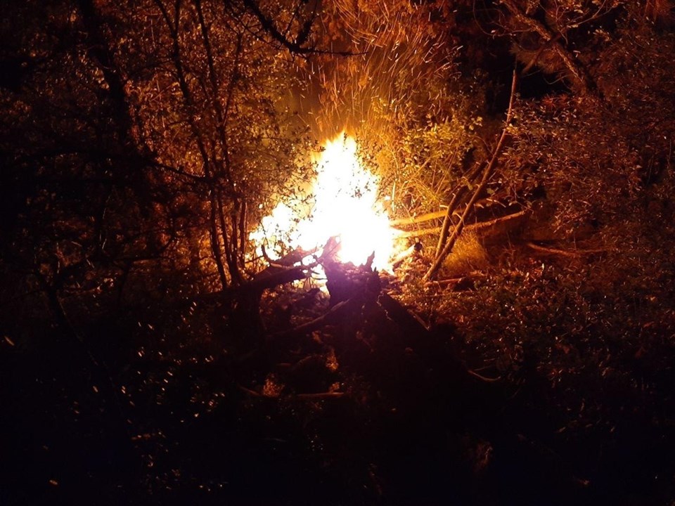 Karabük'te orman yangını - 1