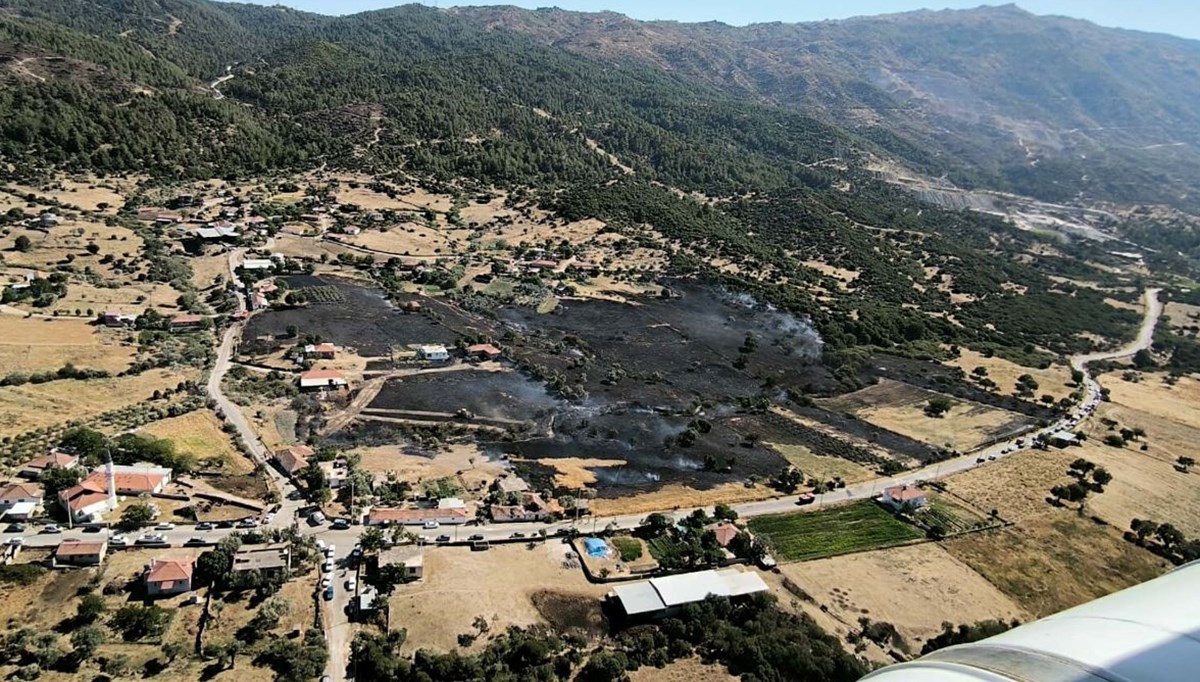 Aydın’daki yangın zeytin ağaçlarını küle çevirdi Aydın’daki yangın zeytin ağaçlarını küle çevirdi