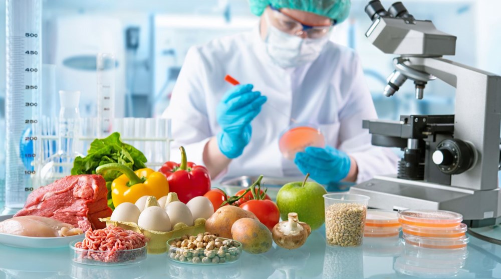 Kanseri önleyen ekmekten, tansiyon düşüren domatese: Genetiği değiştirilmiş gıdalar insanlığın geleceğini kurtarabilir mi? - 11