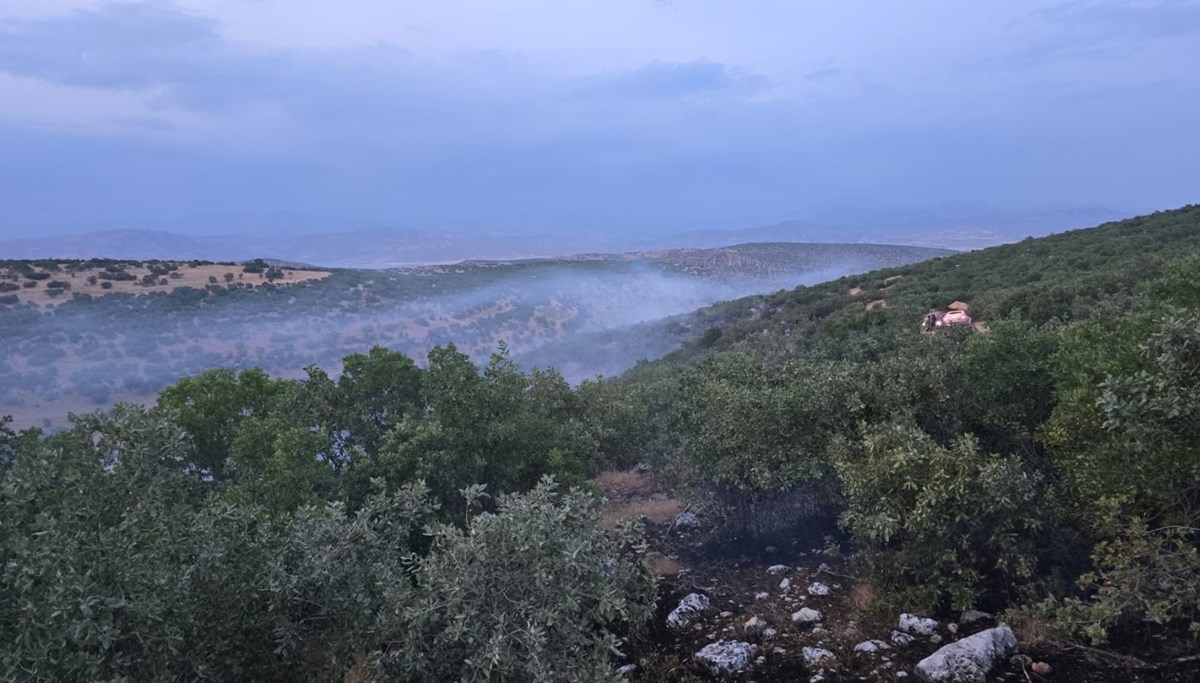 Diyarbakır'da örtü yangını