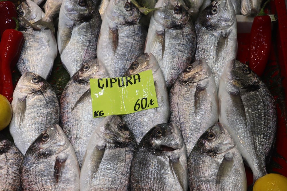 Müsilaj balıklarda zehir etkisi yaratır mı? Uzmanı yanıtladı - 5