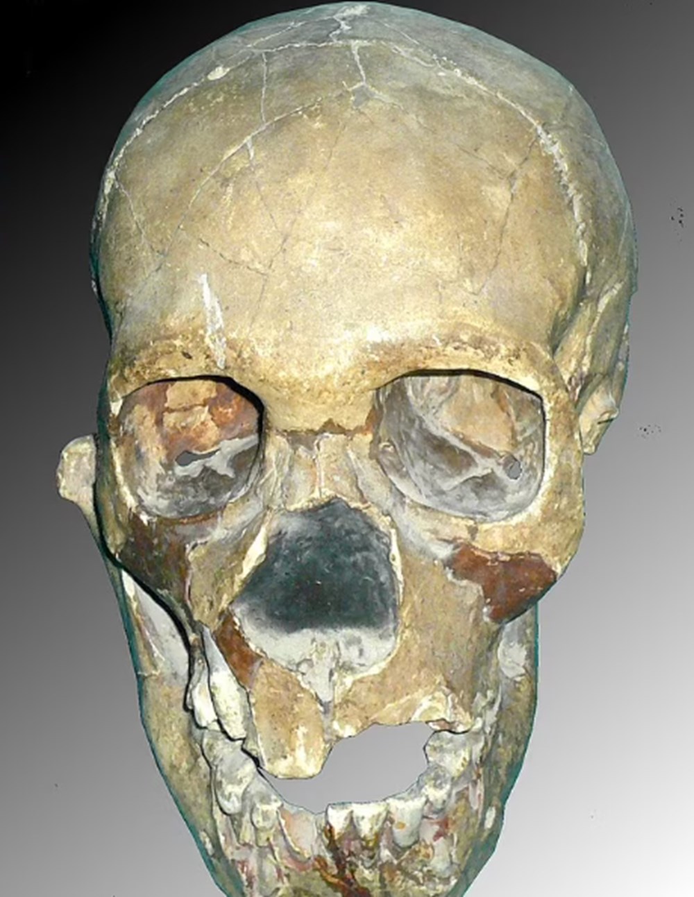 Dünyada ilk kez: 30 bin yıl önce ölen çocuğun yüzü ortaya çıkarıldı - 2