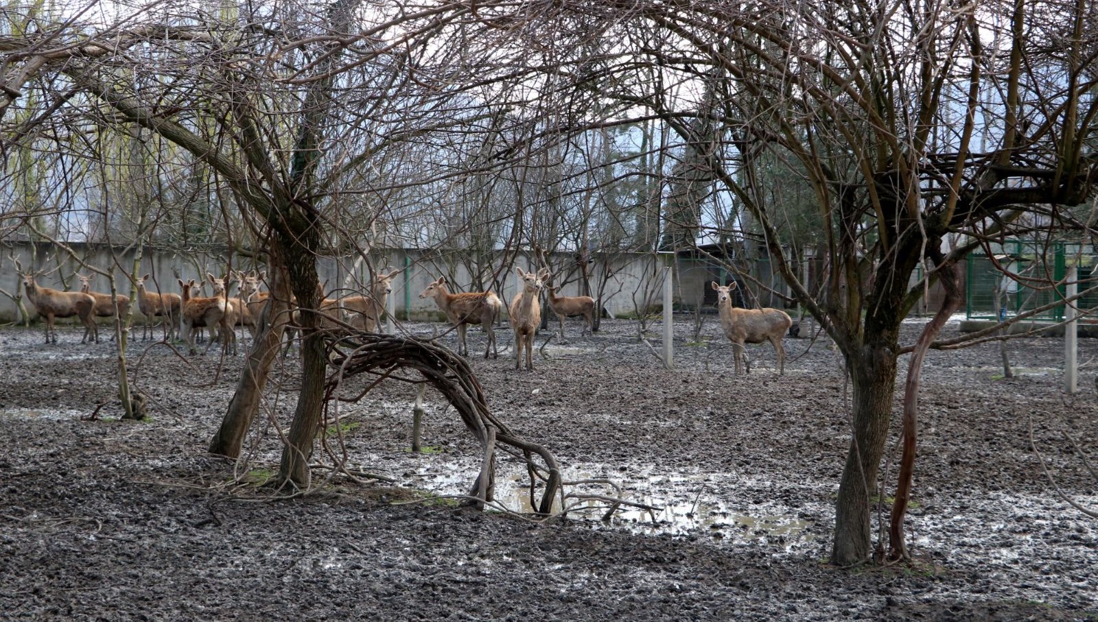 Zonguldak Haberleri Son Dakika Zonguldak Haberleri NTV