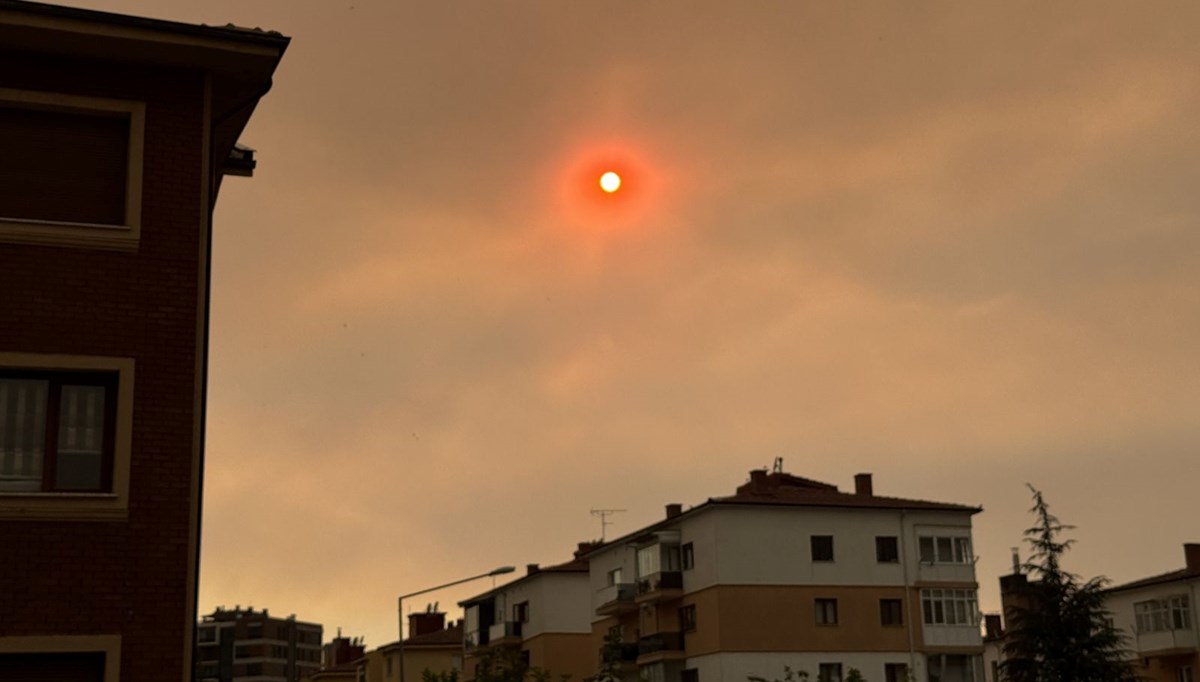 Bilecik'teki yangınının dumanı Eskişehir'e ulaştı