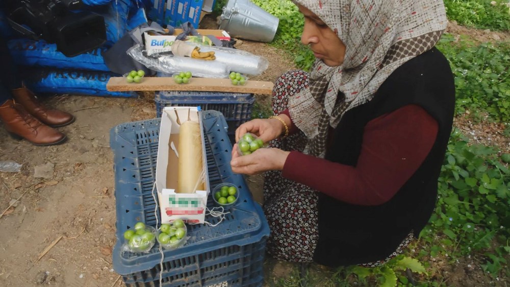 Kilosu 8 bin liradan alıcı buluyor: Mersin'de erkenci hasat başladı - 3