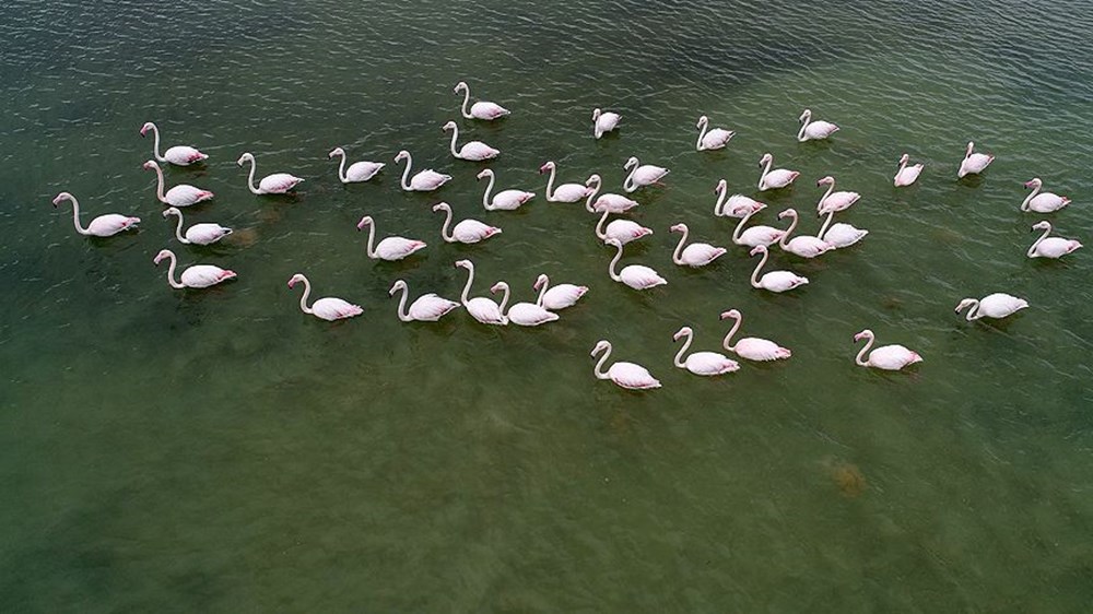 Türkiye'nin Milli Parkları (Türkiye'deki milli parkların listesi ve isimleri) - 79