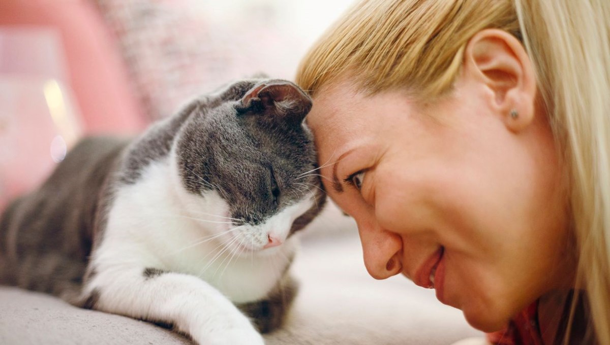 Uzmanı yanıtladı: Kedi ya da köpek tüyü ölüme neden olur mu?