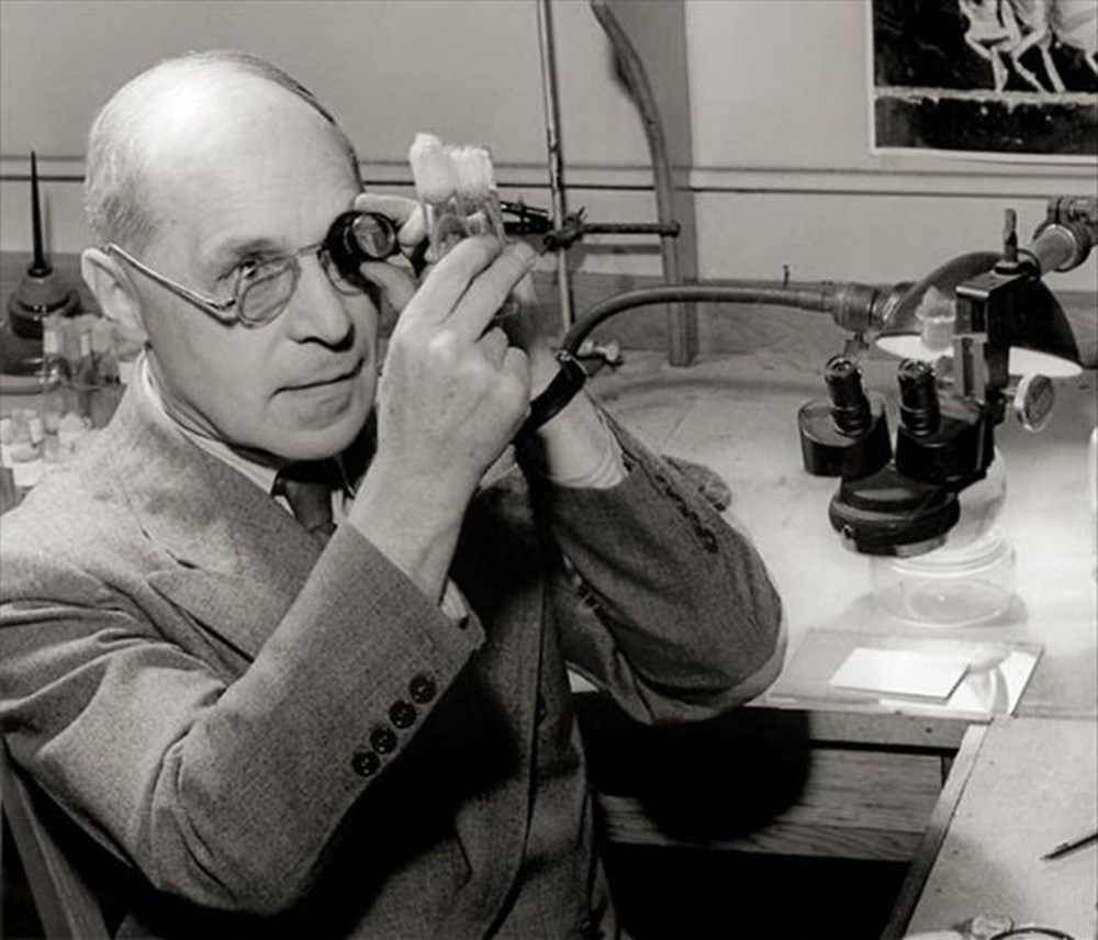 Мюллер философ. Георг мюллер. Рейхсканцлер. Джордж мюллер отец сирот. "george carmichael".