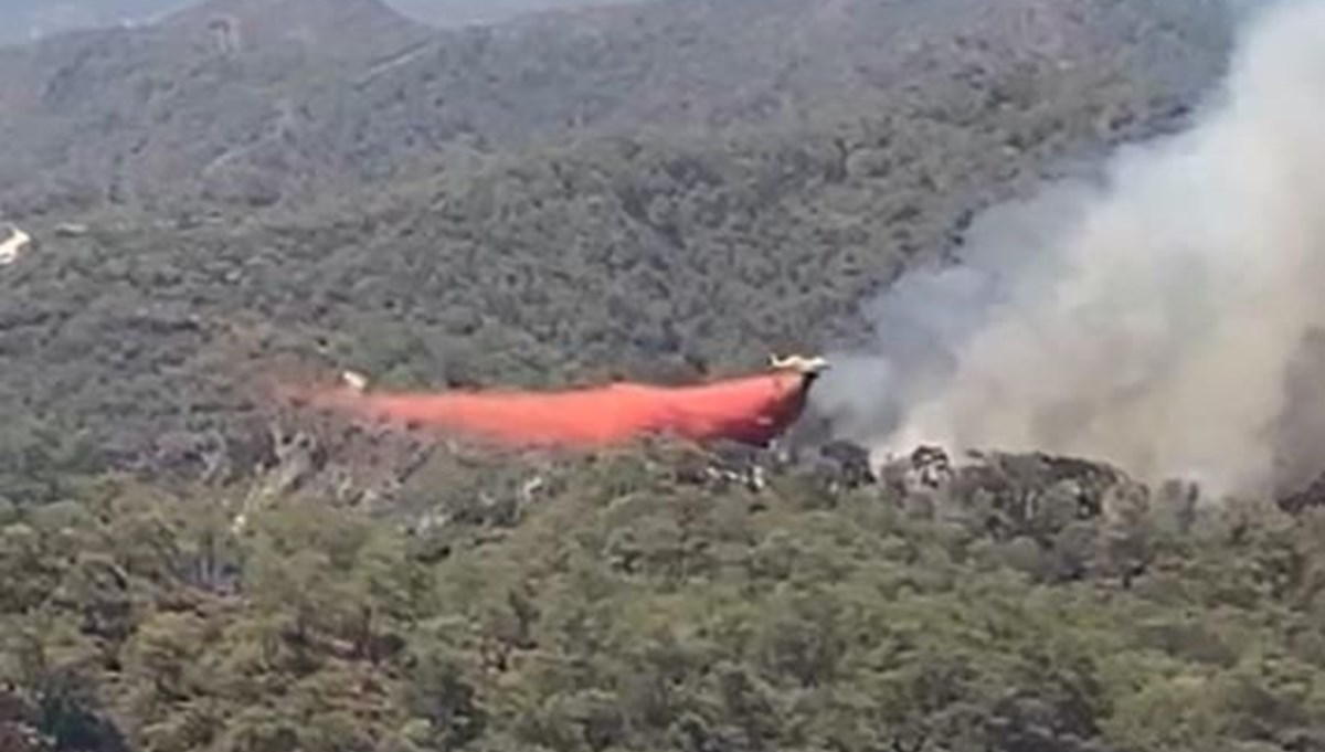 Muğla Fethiye'de orman yangını