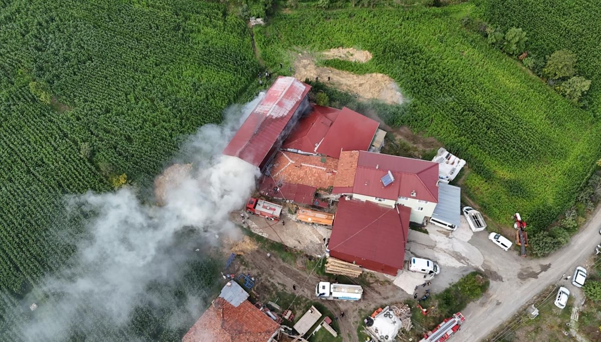 Samsun'da samanlık yangında hasar gördü