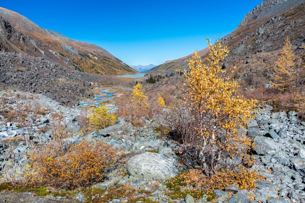 İklim değişikliği ve insan faaliyetleri nedeniyle 13 bin yıl
öncesindeki kitlesel yok oluş tekrarlanacak - 4