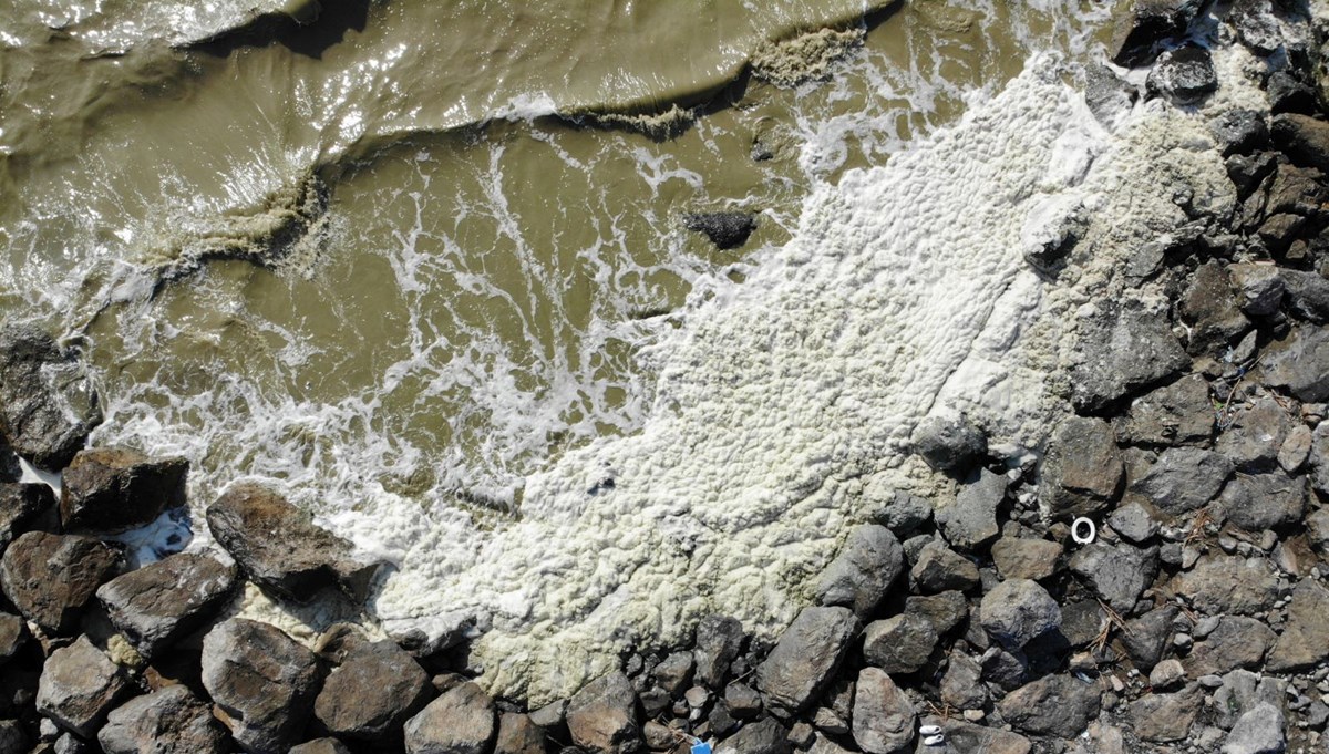 Tedirgin eden görüntü: Beyaz tabaka oluştu