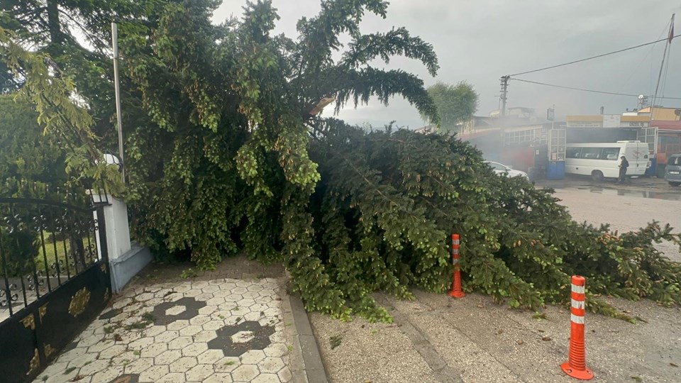 Bolu'da sağanak ve fırtına yaşamı olumsuz etkiledi - 3