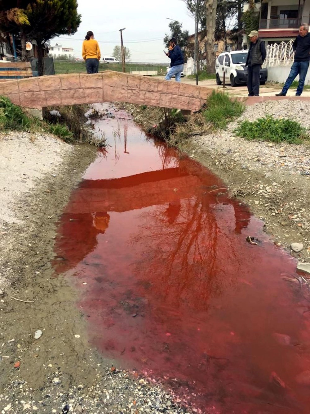 Tekirdağ'da Kamara Deresi renk değiştirdi - 3