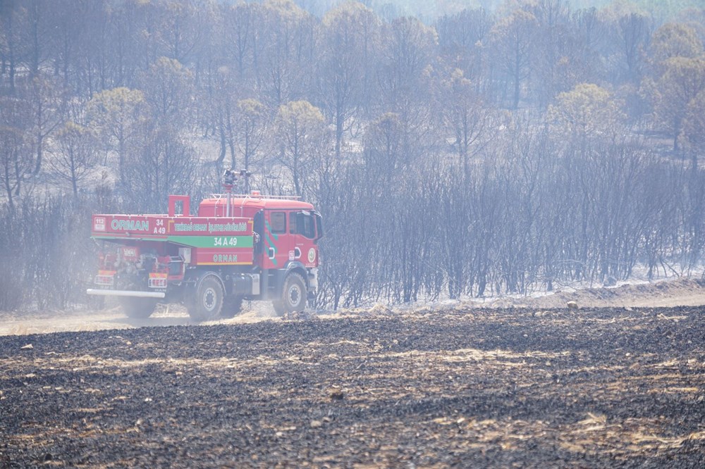 Yedi şehirde orman yangını: Sakarya'daki yangın büyüdü, Bilecik'e sıçradı - 18