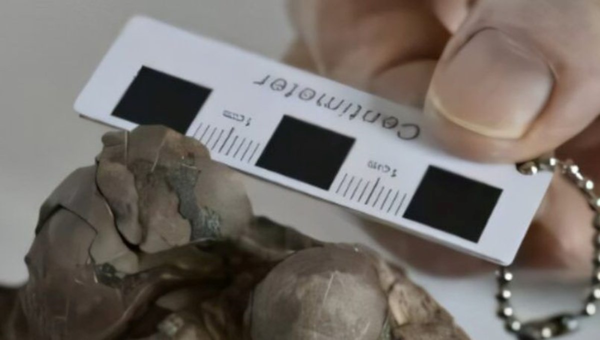 80 milyon yıllık dinozor yumurtları keşfedildi: