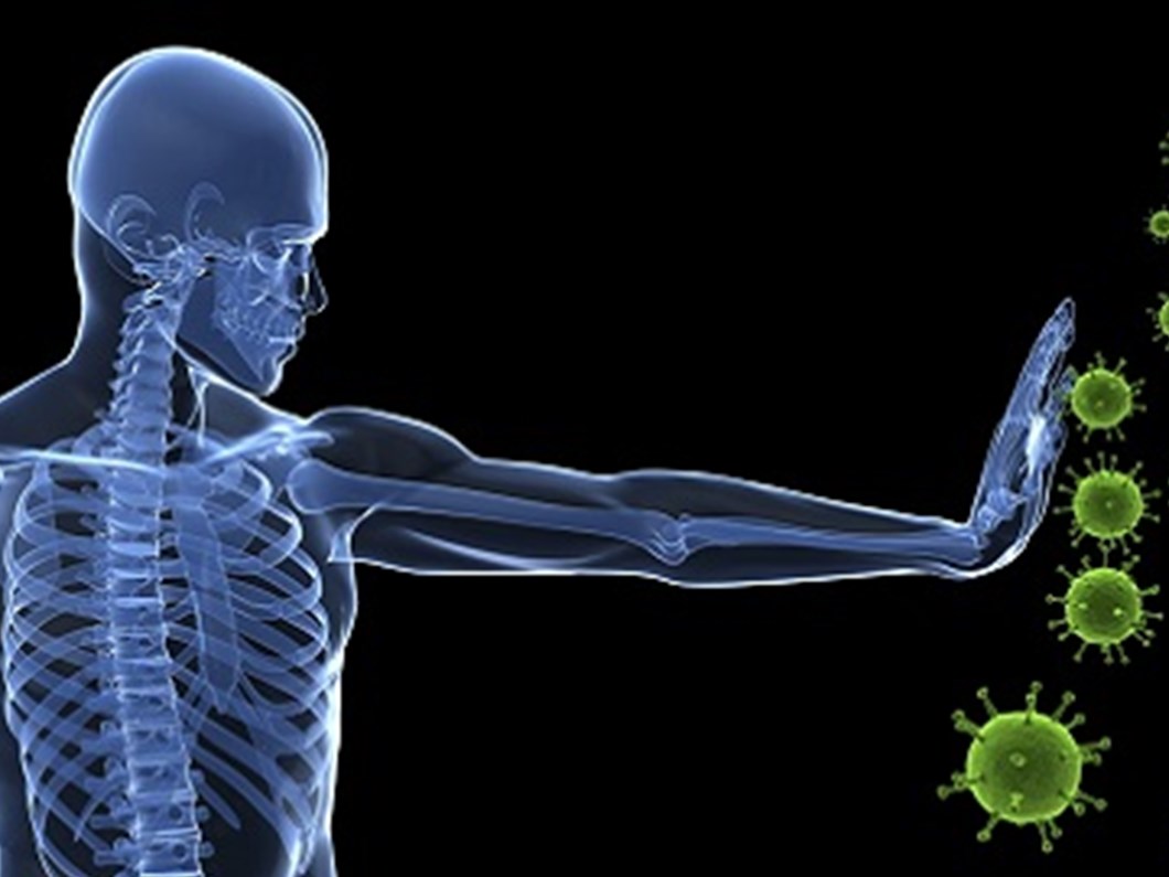 Insan Vucudunda Iki Bagisiklik Sistemi Var Saglik Haberleri Ntv