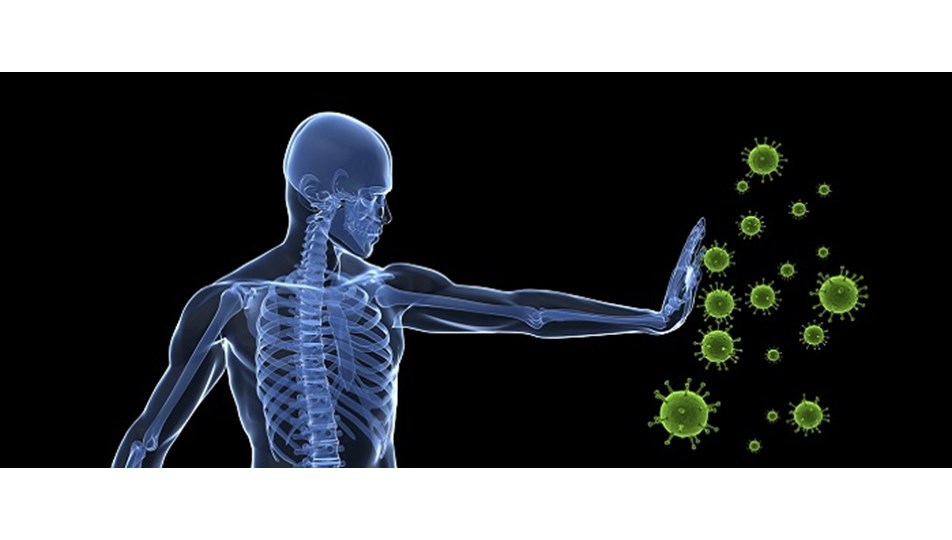 Insan Vucudunda Iki Bagisiklik Sistemi Var Saglik Haberleri Ntv