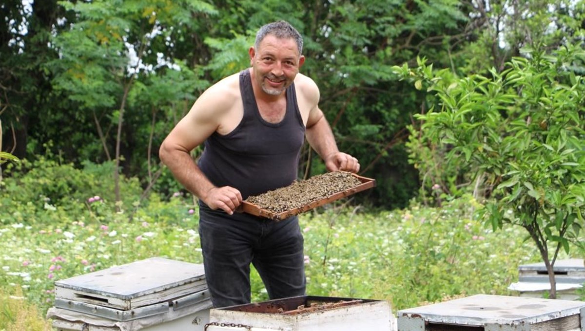 Bal üreticisi atletle arılarına bakım yapıyor: 