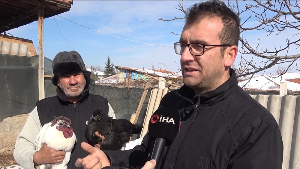 'Ayam Cemani' cinsi horoz ve tavuk görenleri şaşırtıyor: Piyasa fiyatı 17 bin TL - 2
