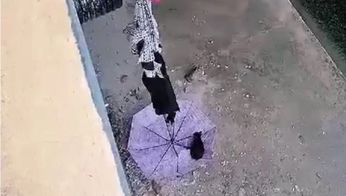 Kıyafet ve şemsiye ile kedi kurtarma operasyonu kamerada Kıyafet ve şemsiye ile kedi kurtarma operasyonu kamerada