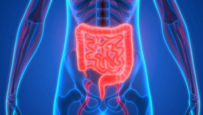 Ge�irgen ba��rsak sendromu nedir?