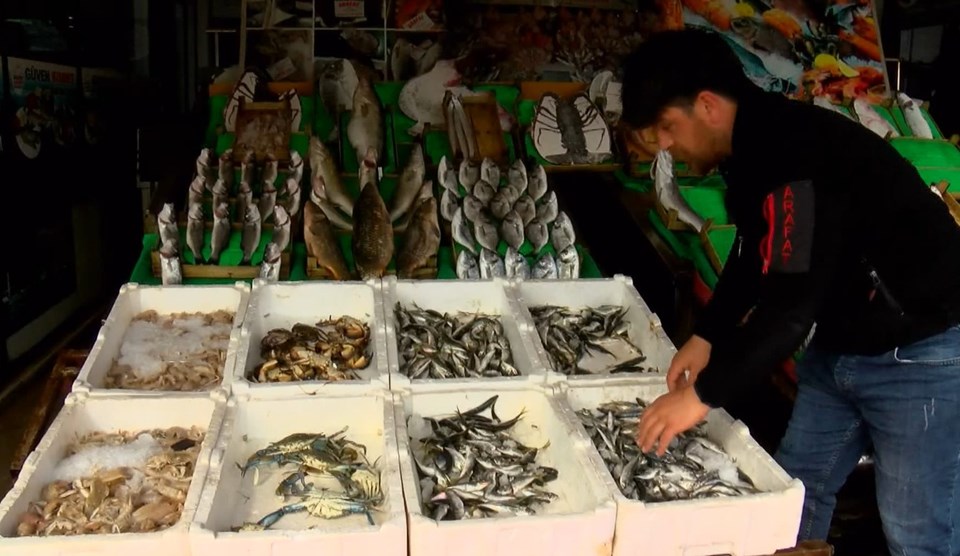 Marmara'da balık türleri azalıyor - 1