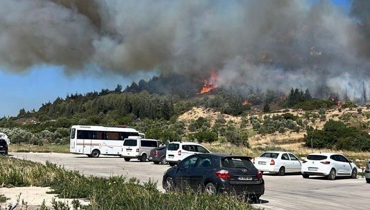 Aliağa'da bir orman yangını daha