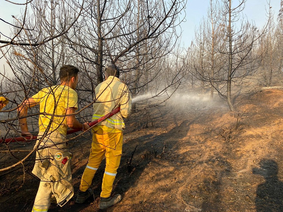 Manisa Soma'da orman yangını - 2