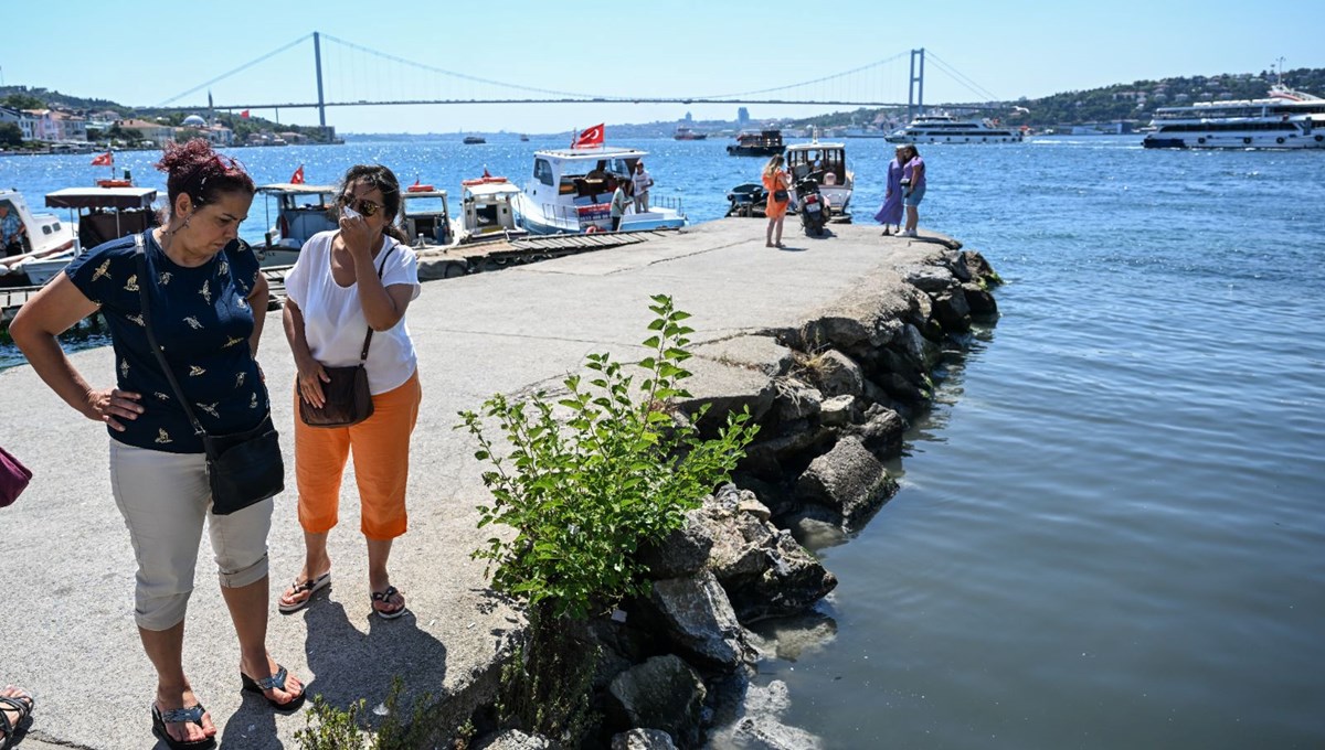 İstanbul'un derelerinden Marmara'ya ve Boğaz'a kirlilik akıyor