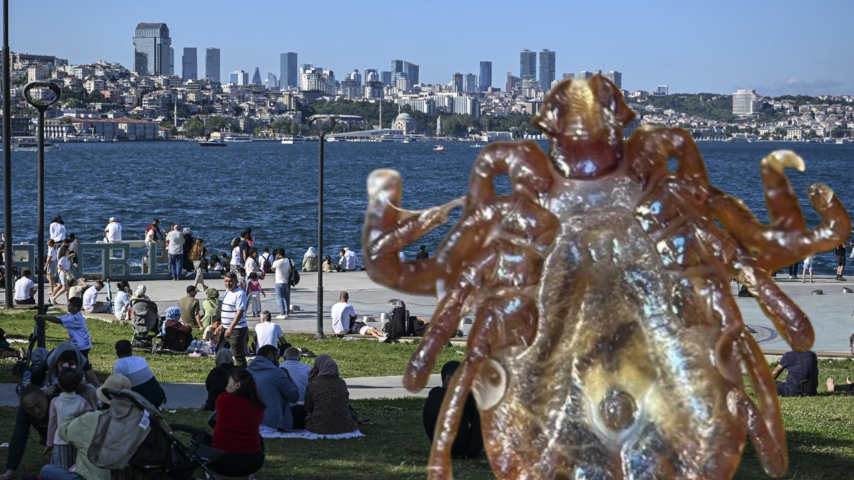 İstanbul'da kene vakalarında artış
