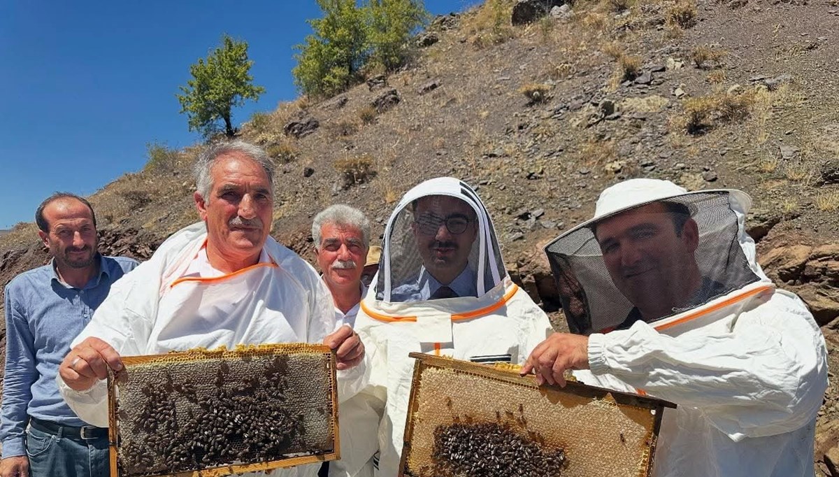 Sincik'te bal hasadı başladı
