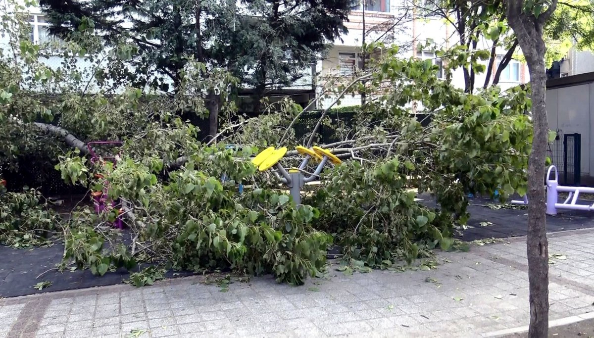 Avcılar'da parkta oynayan 3 çocuğun üzerine ağaç devrildi