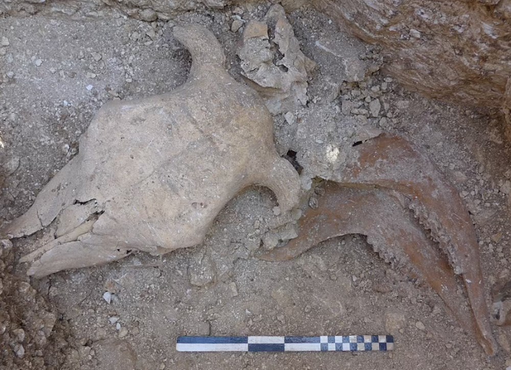 "Öbür dünya"da rahat etmek için adaklarıyla birlikte gömüldüler: 2 bin yıl önce ölen beş insanın kalıntıları ortaya çıkarıldı - 5
