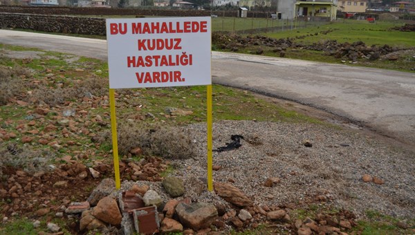 Gaziantep'te bir mahallede 6 aylık kuduz karantinası