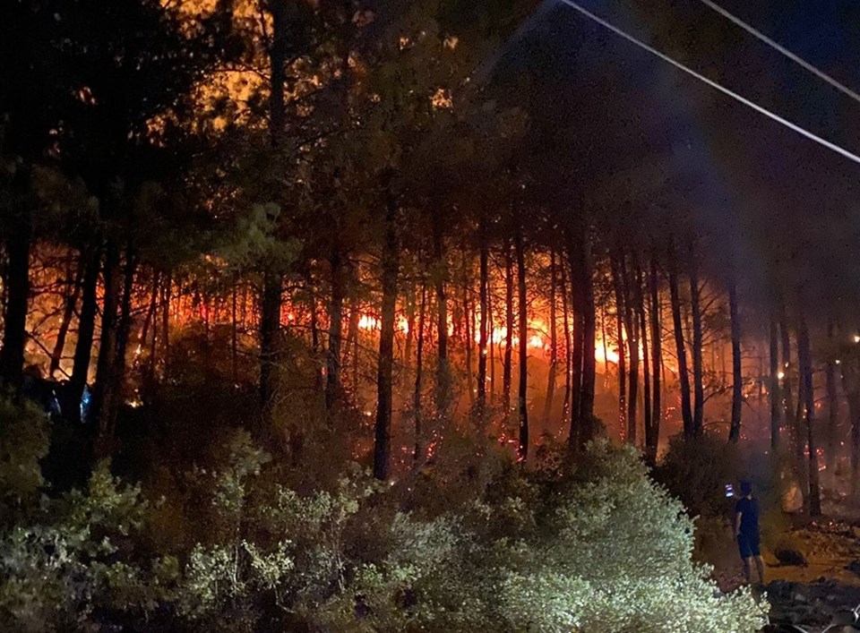Muğla'nın Fethiye ilçesinde orman yangını - 1