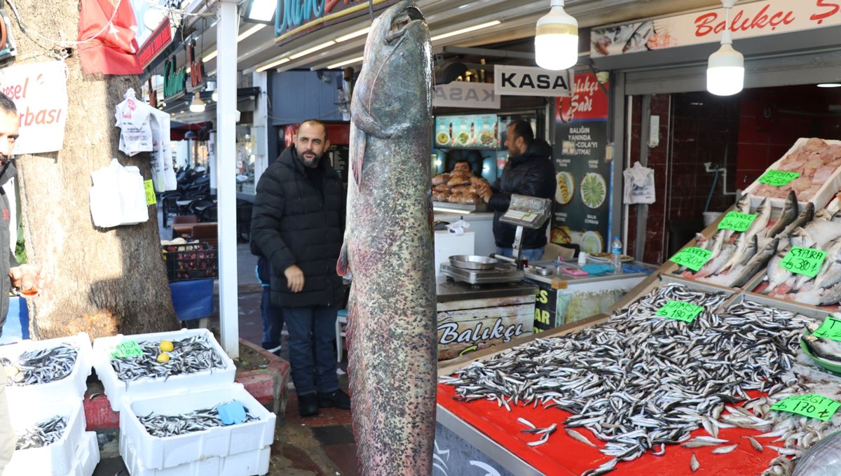 2 metrelik yayın balığı yakaladılar! Kilosunu 450 liradan satacaklar