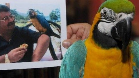 Turgut Özal'ın papağanı Cabbar yine çalındı