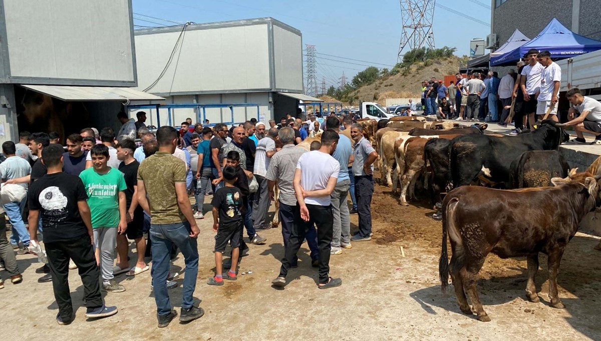 Kurban kesim noktalarında yoğunluk