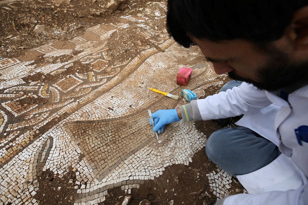 Mardin'de kurtarma kazısında deniz canlıları figürlü mozaikler bulundu - 12