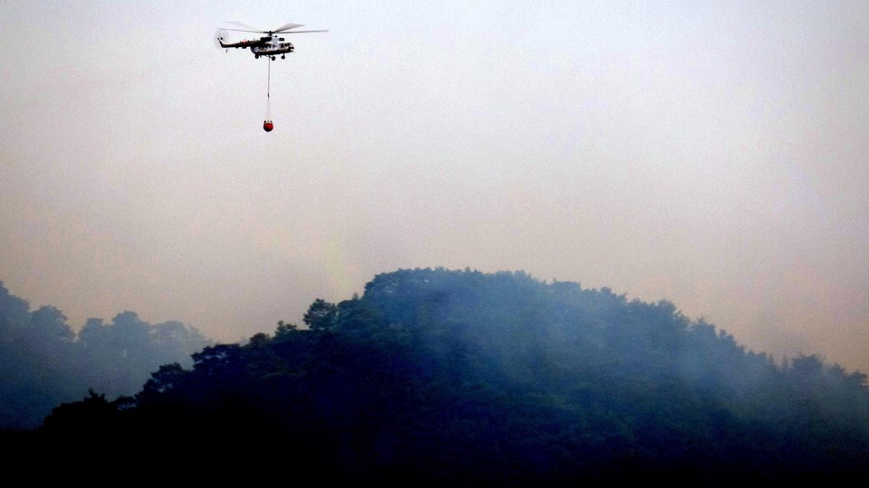 Muğla'daki orman yangınları kontrol altına alındı - 1
