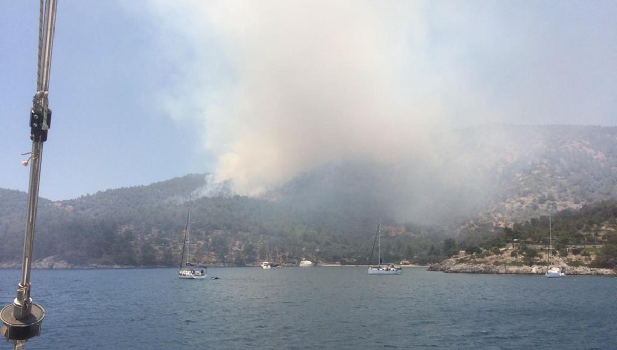 Muğla Milas'ta orman yangını