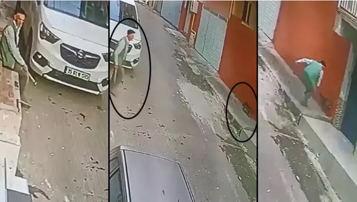 İzmir'de keserle kediye saldırdı İzmir'de keserle kediye saldırdı