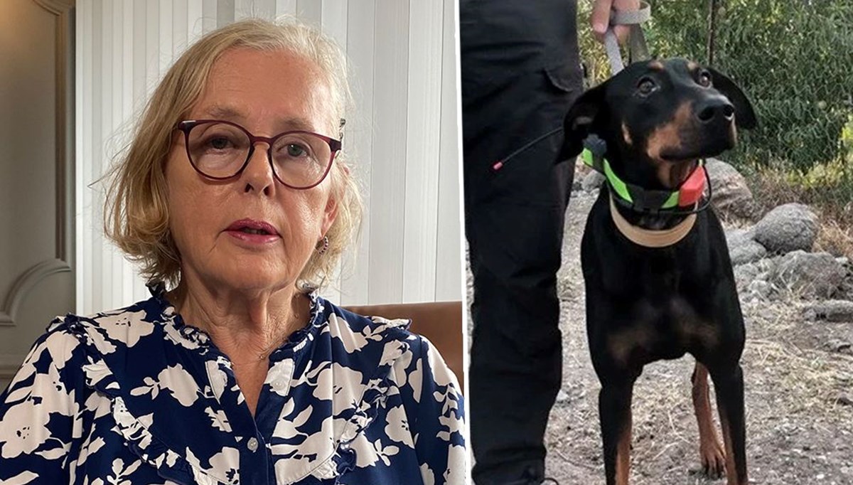 Korhan Berzeg’in eşi Angela Berzeg: “Tina’da bir değişim var” Korhan Berzeg’in eşi Angela Berzeg: “Tina’da bir değişim var”
