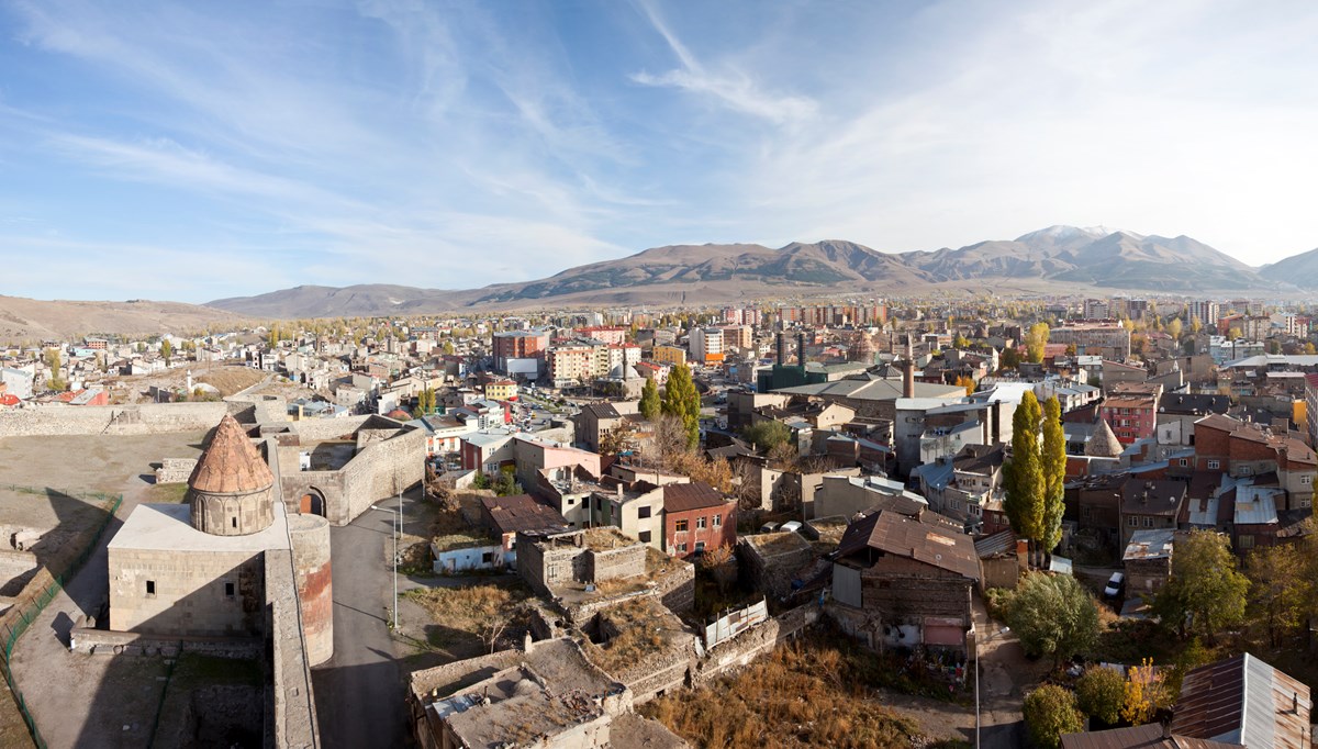 Erzurum'da sahipsiz köpeklerin saldırısına uğrayan kız çocuğu yaralandı